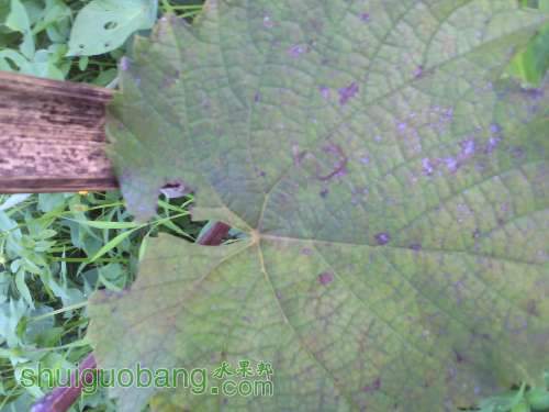 IMG_20140824_180928454.jpg
