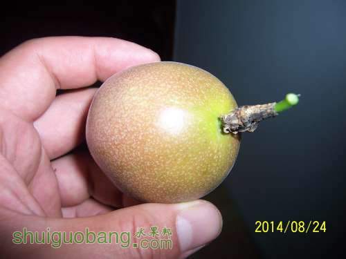 100_9312.JPG