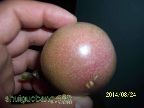 100_9314.JPG