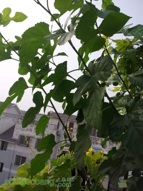 20140824_090223.jpg