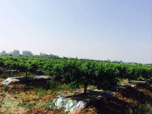 QQͼƬ20140606162014.jpg