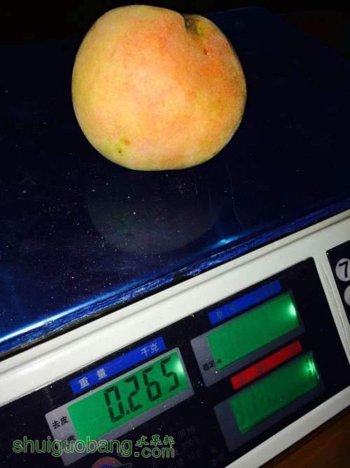 QQͼƬ20140716174710.jpg