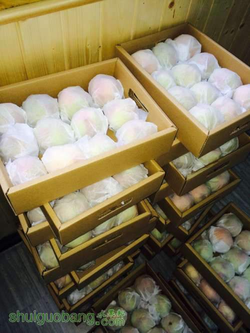QQͼƬ20140716174822.jpg