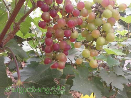 20140825_112331.jpg