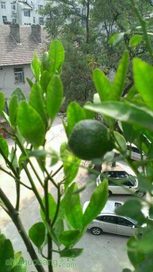 QQͼƬ20140826142554.jpg