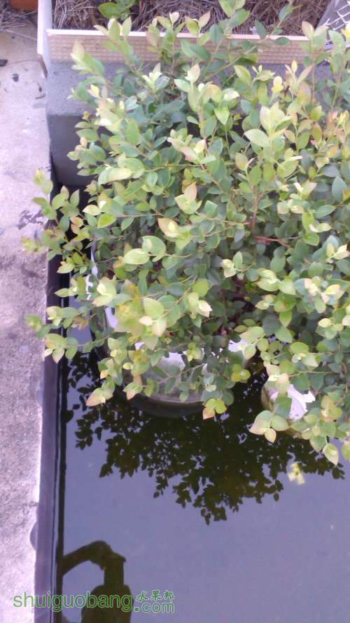 IMG_20140818_183538.jpg