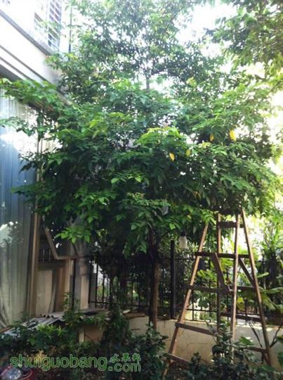 2014-08-25 080607.jpg