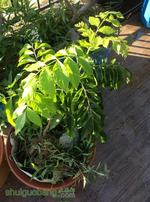 2014-08-26 071954.jpg