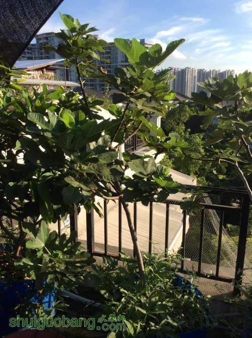 2014-08-26 071940.jpg