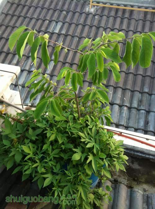 2014-08-23 183831.jpg