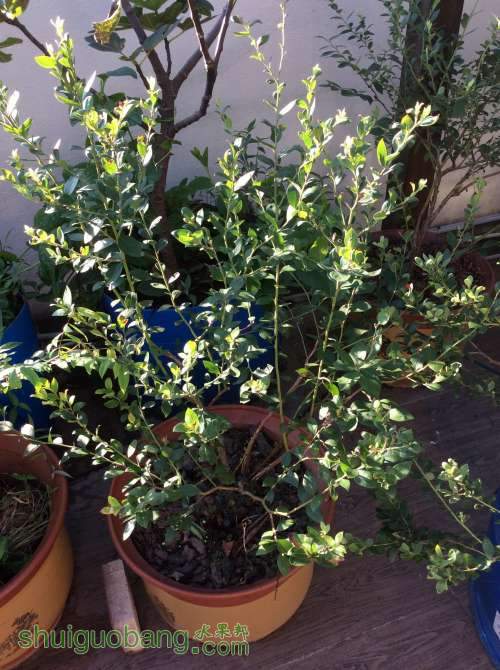 2014-08-26 071854.jpg