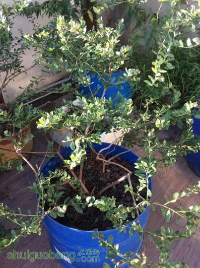 2014-08-26 071857.jpg