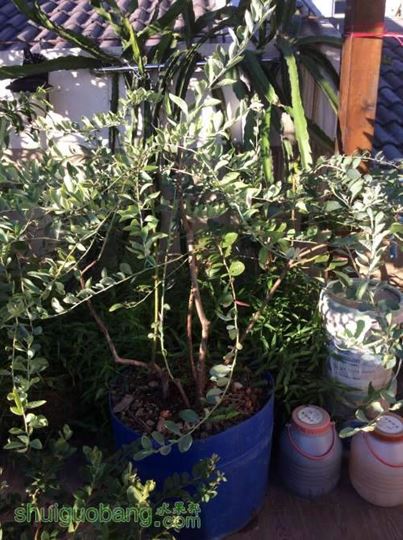 2014-08-26 071904.jpg