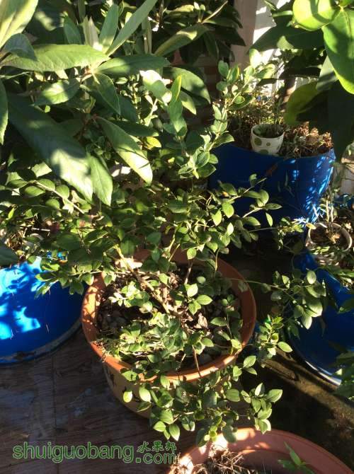 2014-08-26 071923.jpg