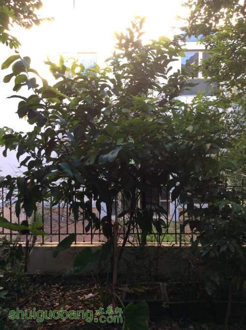 2014-08-26 073613.jpg