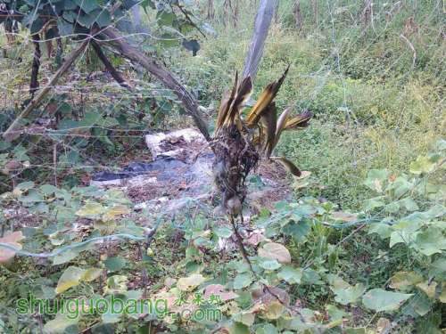 UC_Photo_007.jpg