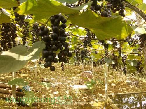 UC_Photo_008.jpg