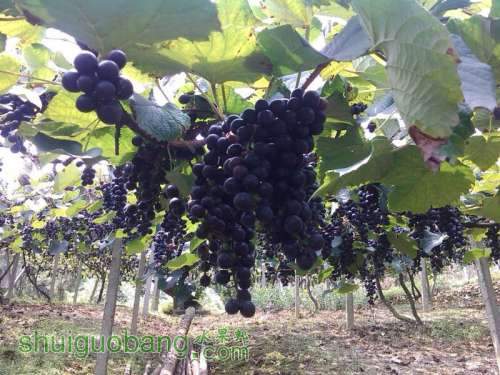 UC_Photo_009.jpg