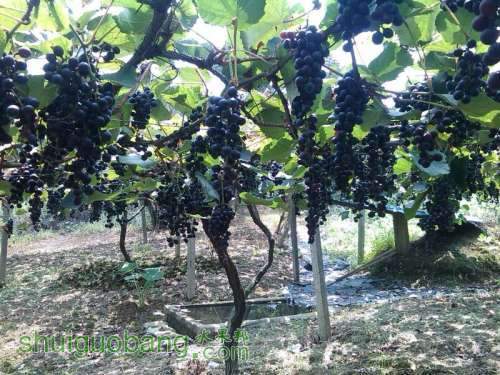 UC_Photo_010.jpg