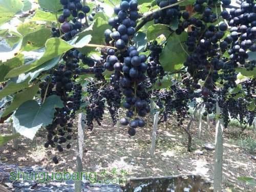 UC_Photo_012.jpg