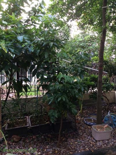 2014-08-28 081431.jpg