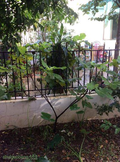 2014-08-28 081500.jpg