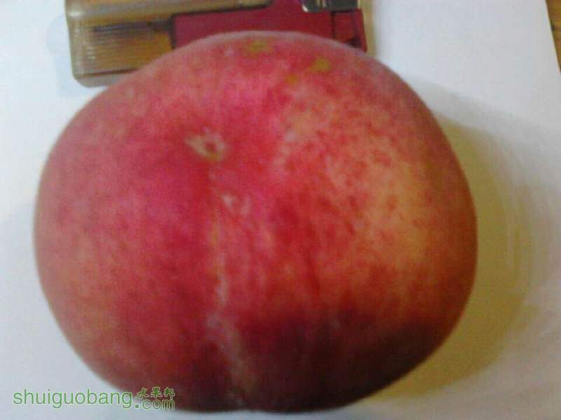 QQͼƬ20140828214249.jpg