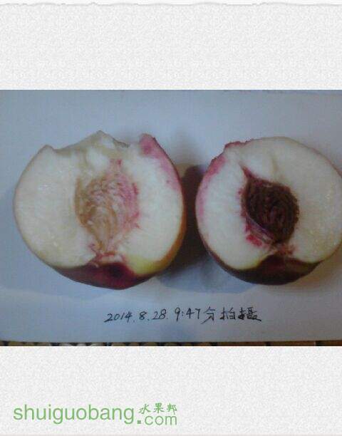 20140828215115.jpg