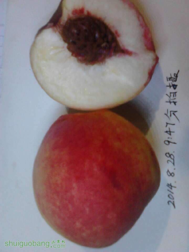 20140828215722.jpg