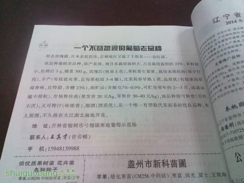 YP20140418151541866.jpeg