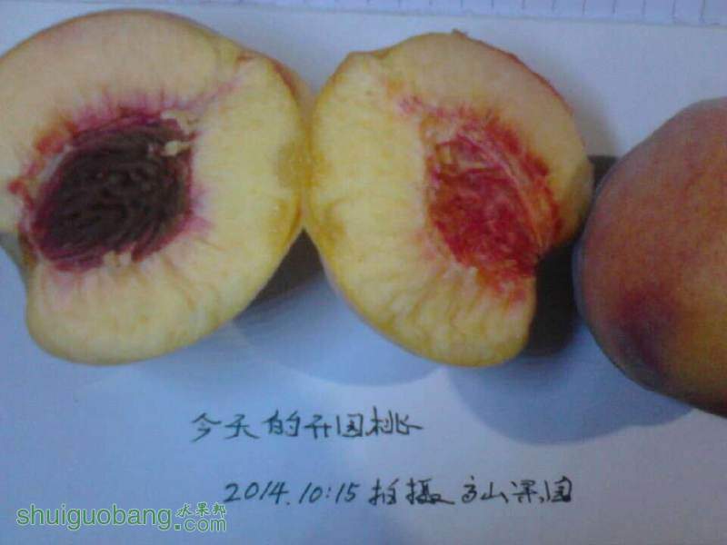 20140828222307.jpg