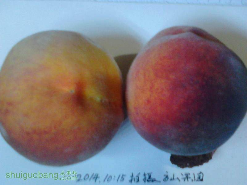 20140828222316.jpg