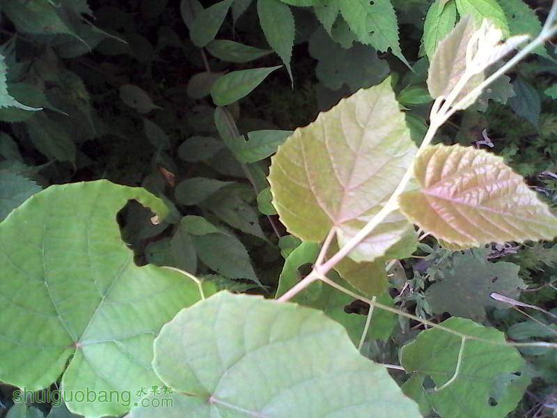IMG_20140816_141753.jpg