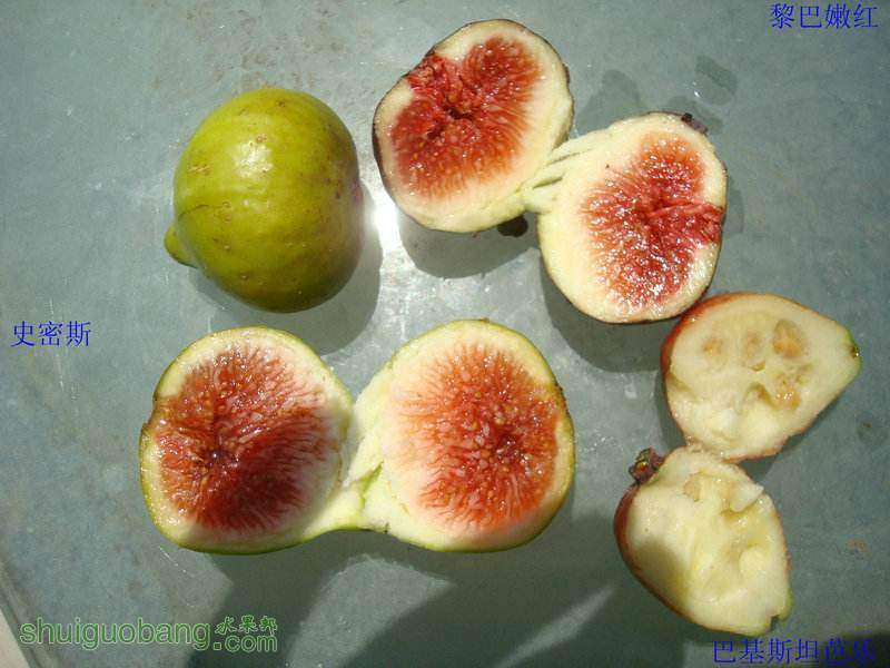 2014-08-29���ֹ���.JPG