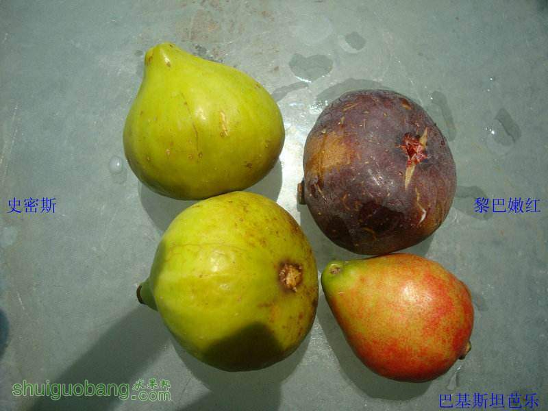 2014-08-29���ֹ�����.JPG