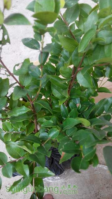 IMG_20140830_104259.jpg