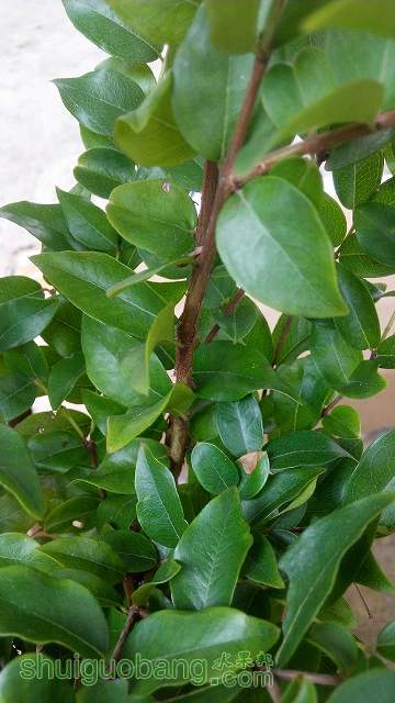 IMG_20140830_104326.jpg