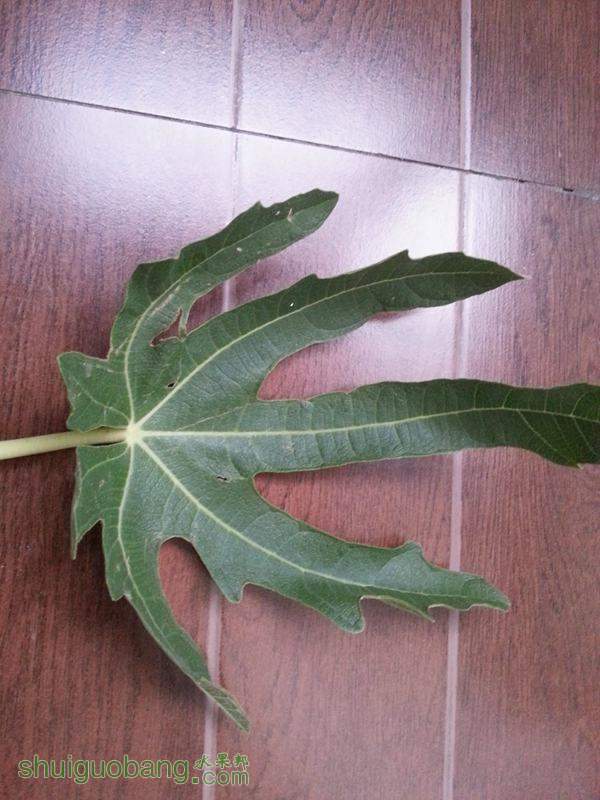 20140831_175819.jpg