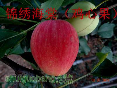 DSC01669.jpg