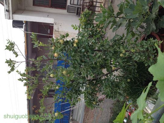 PIC_20140831_075424_3C3.jpg