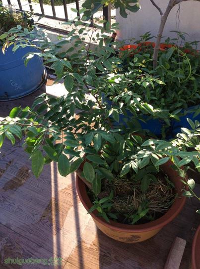 2014-08-26 071849.jpg