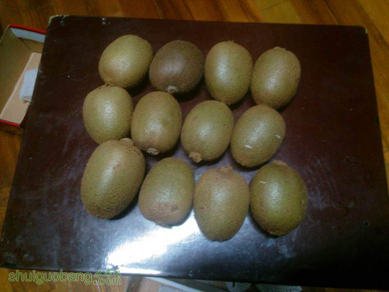 IMG20140901194645.jpg