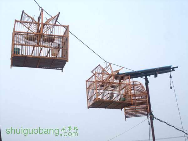 DSCF9459.JPG