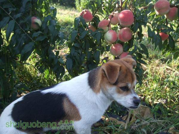 2014��9��3����Ե���� 015.jpg