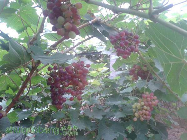 20140903_093530.jpg