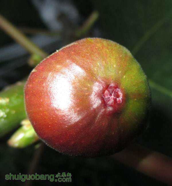 QQͼƬ20140905002019.jpg
