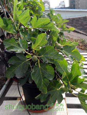 IMG_20140905_080646.jpg