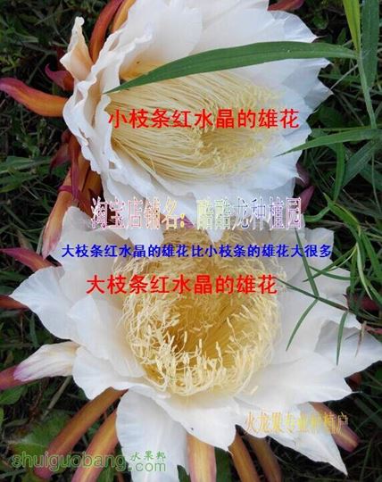 05.jpg