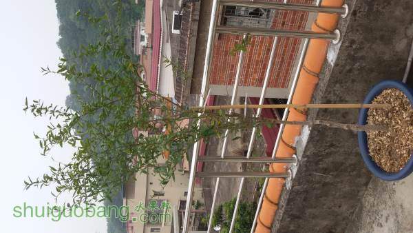 20140905_135900.jpg