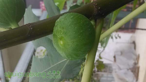 IMG_20140907_100502.jpg